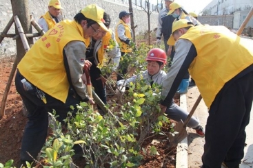 欧洲杯正规下单平台集团九江公司组织干部职工开展植树运动