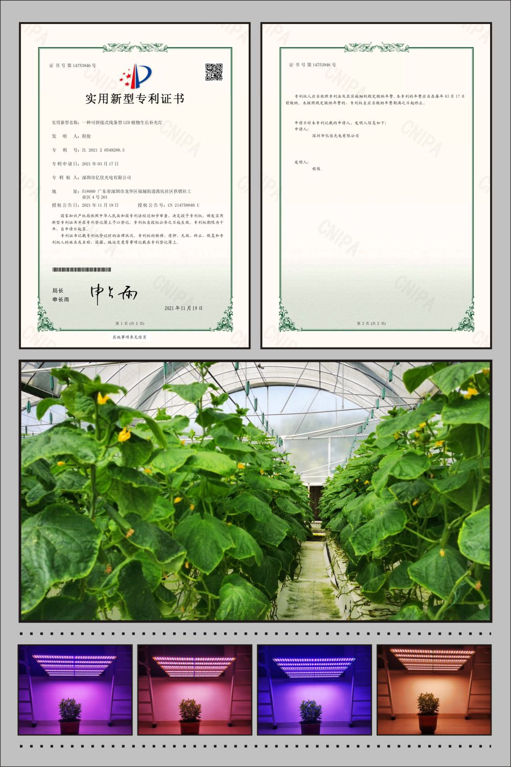 拉斯维加斯9888植物农场灯适用新型专利