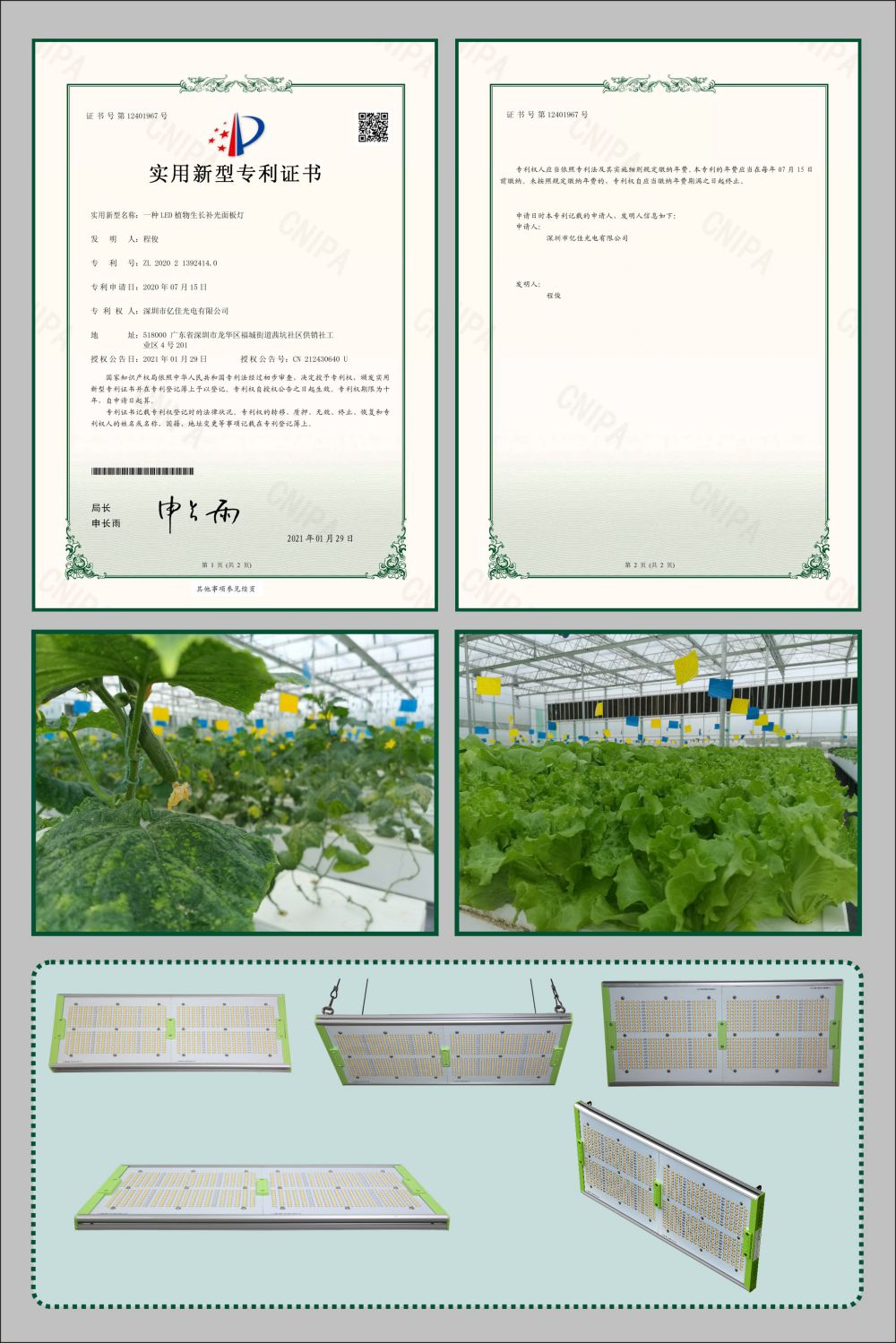 拉斯维加斯9888植物生长面板灯适用新型专利